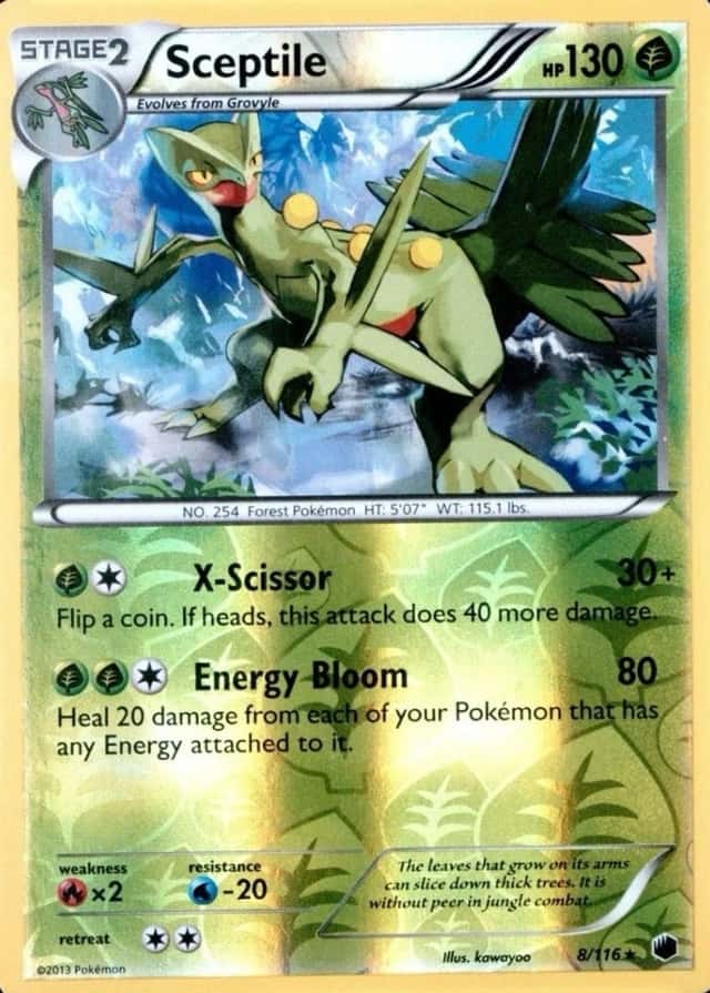 Reverse Holo