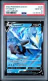 Kyurem V