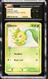Chikorita