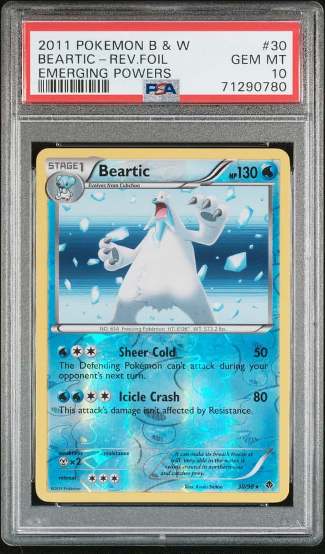 BEARTIC-REV.FOIL