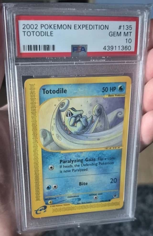 Totodile