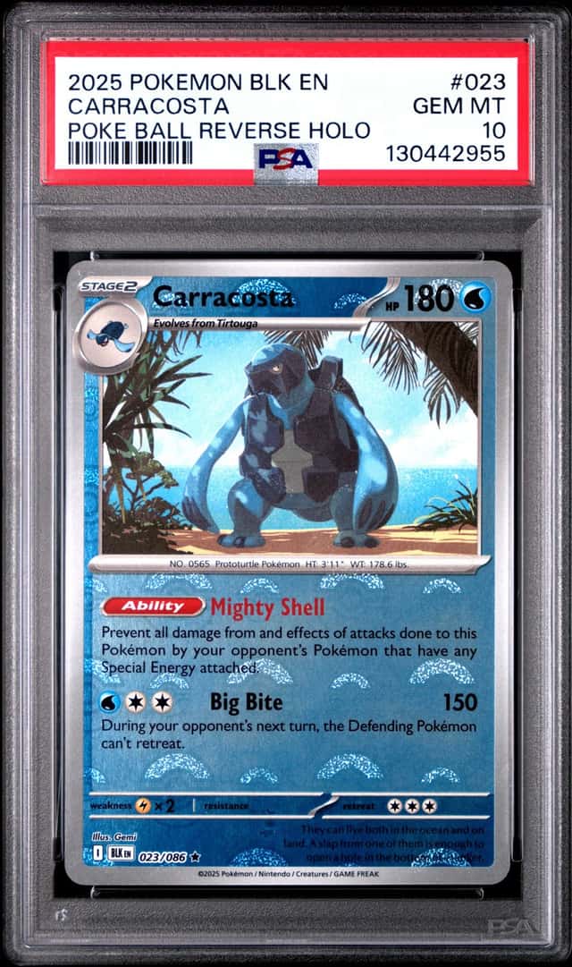 Carracosta
