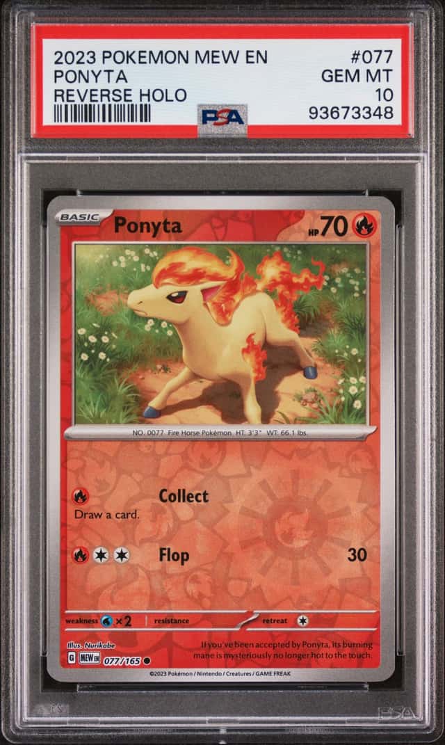 Ponyta