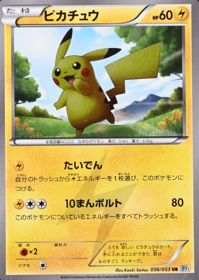 Holo