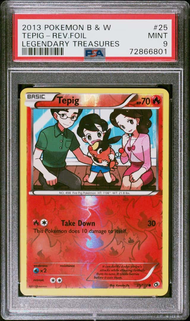 Tepig