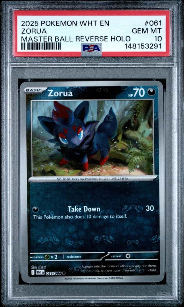 Zorua