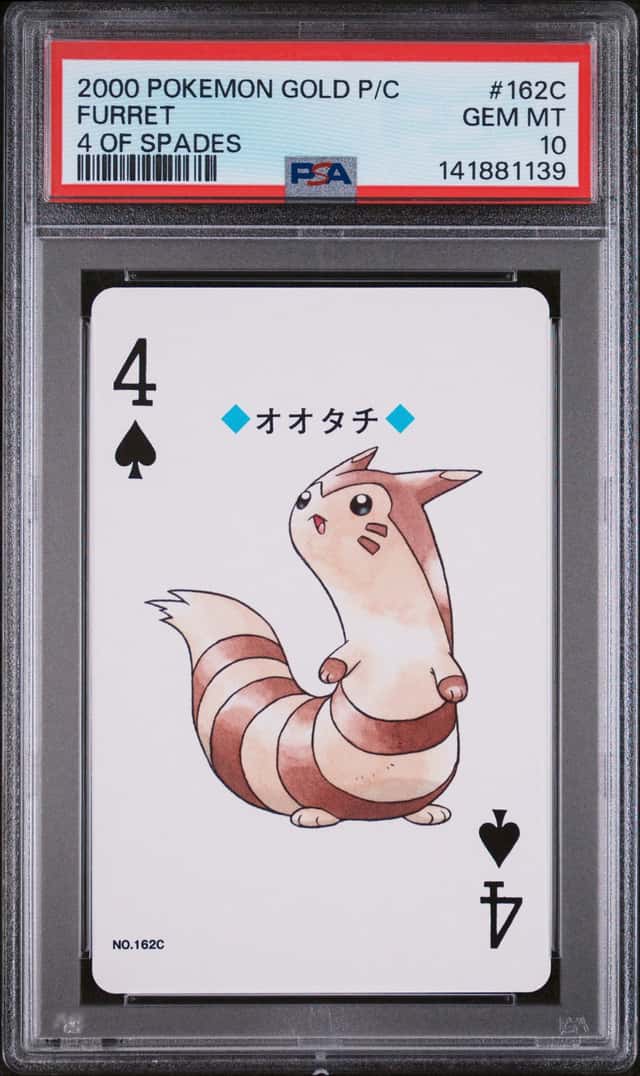 Furret