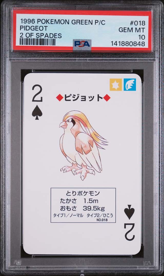 Pidgeot