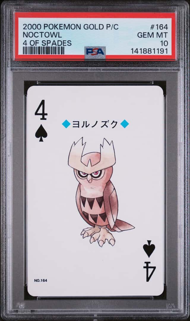 Noctowl