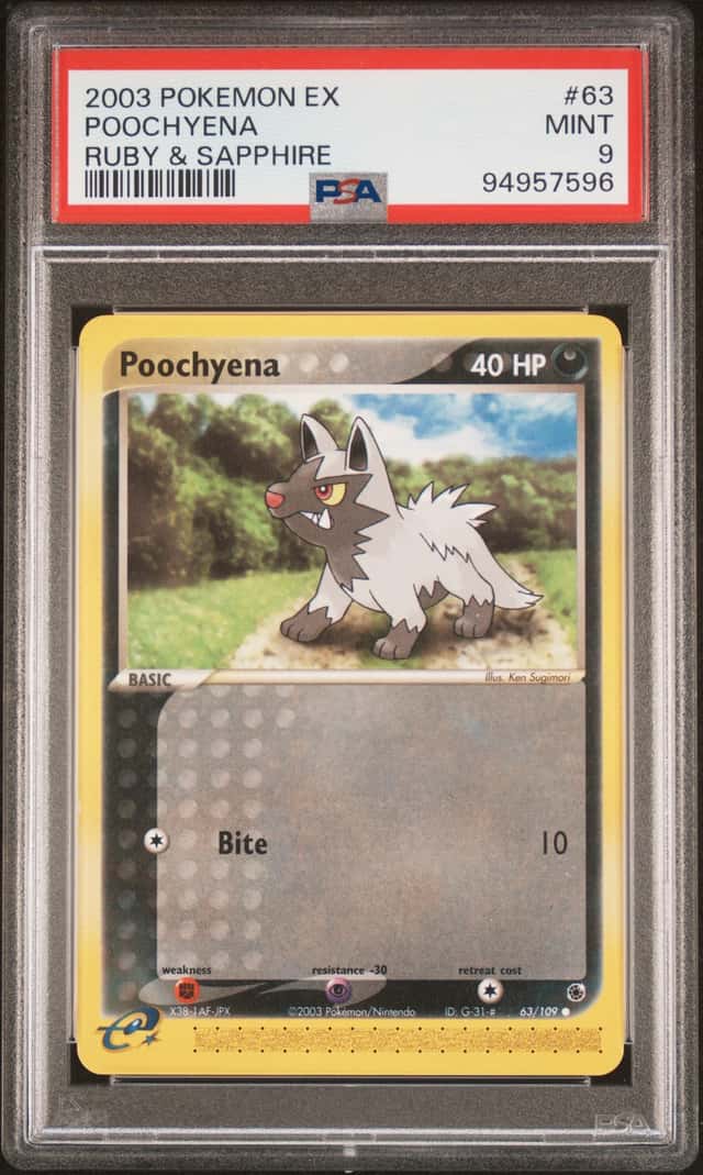Poochyena