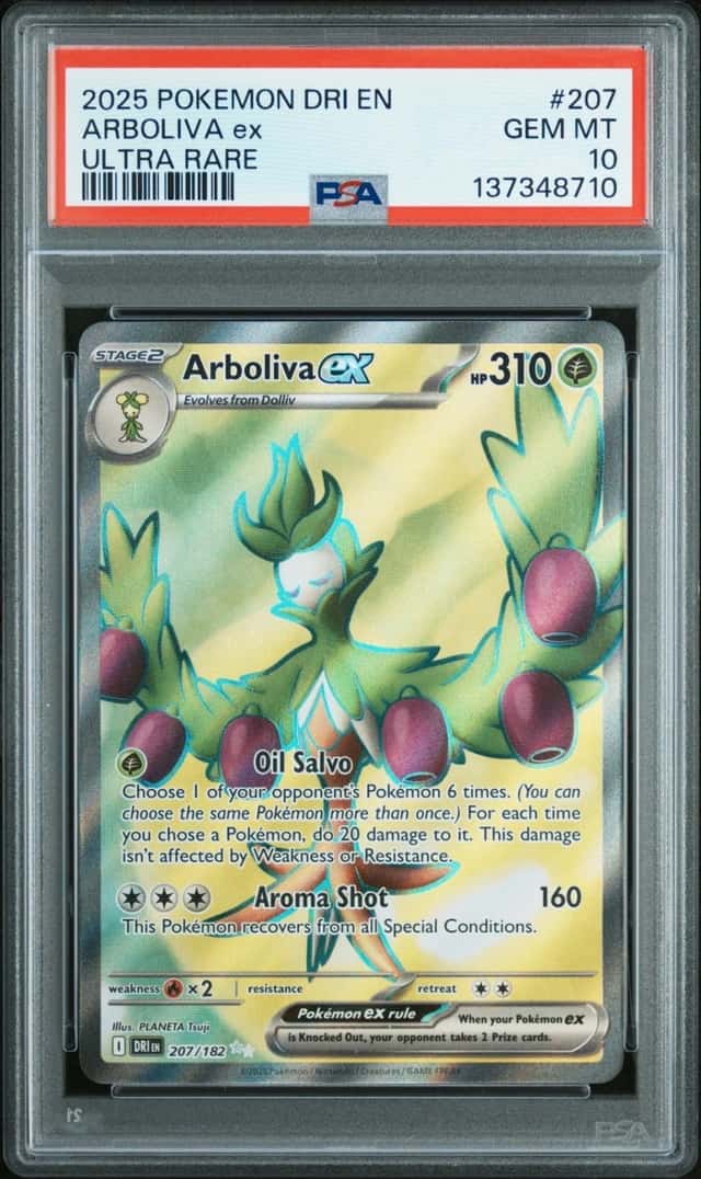 ARBOLIVA ex