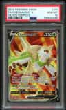 Chesnaught V