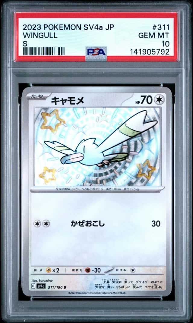 Wingull