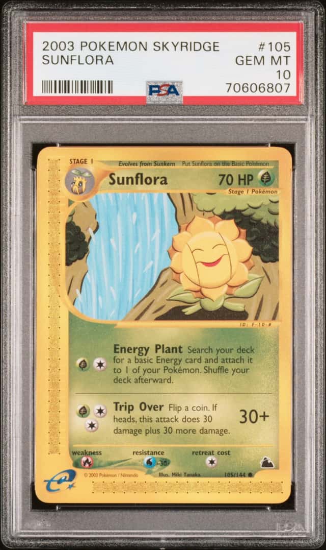 Sunflora
