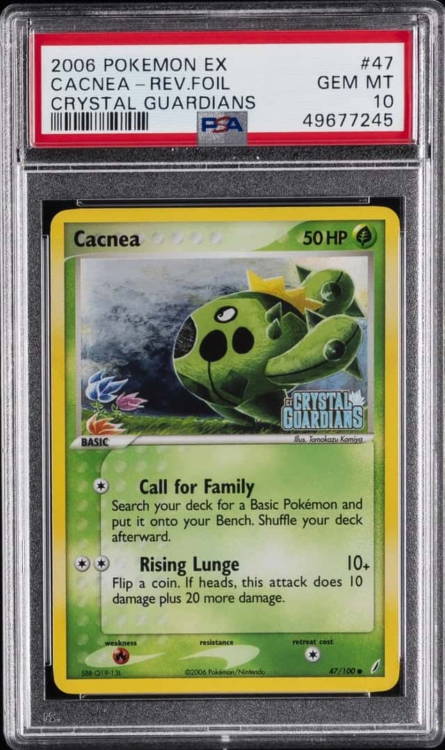 Cacnea