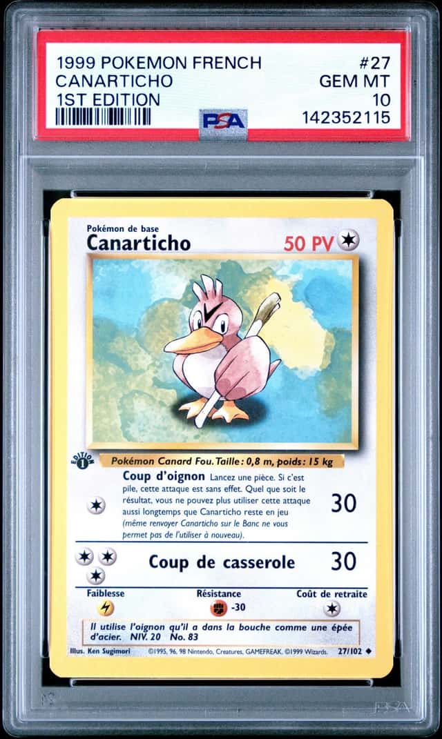 Canarticho