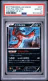 Yveltal