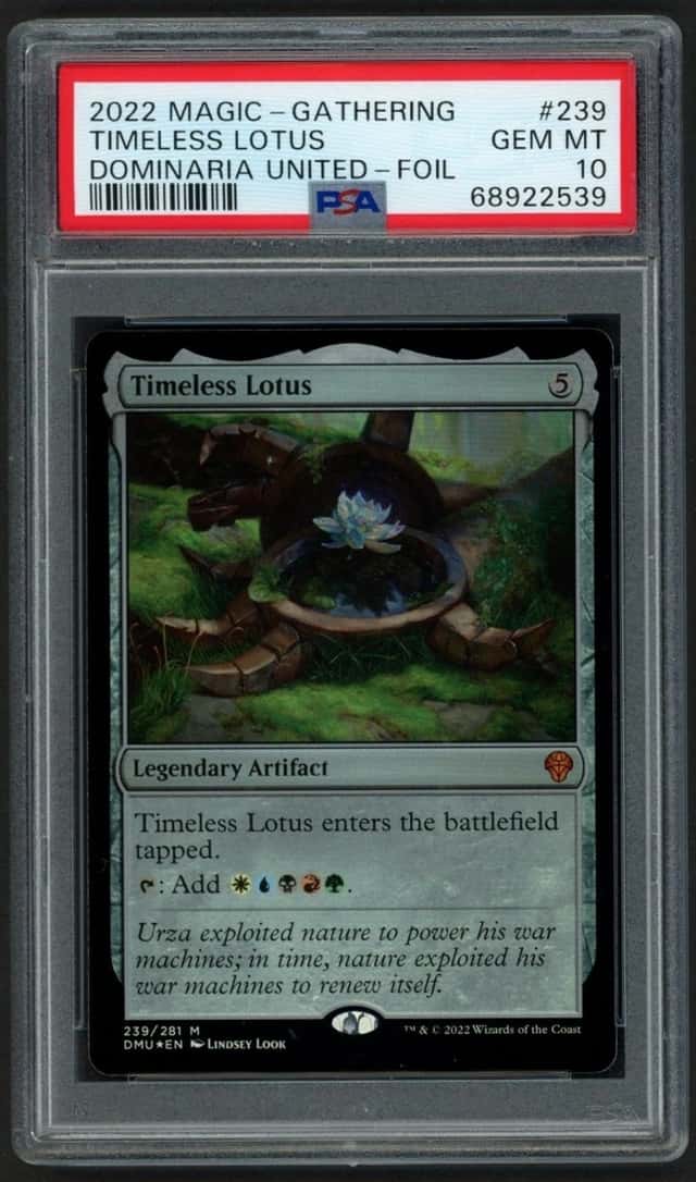 Timeless Lotus
