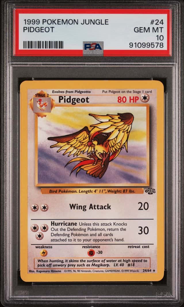 Pidgeot