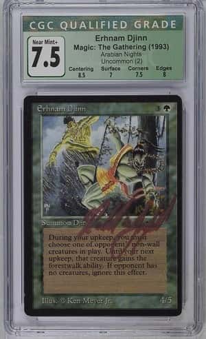 Ernham Djinn