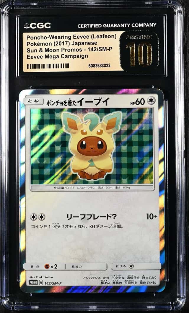 Poncho-Wearing Eevee