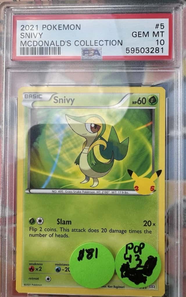 Snivy