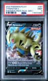Tyranitar V