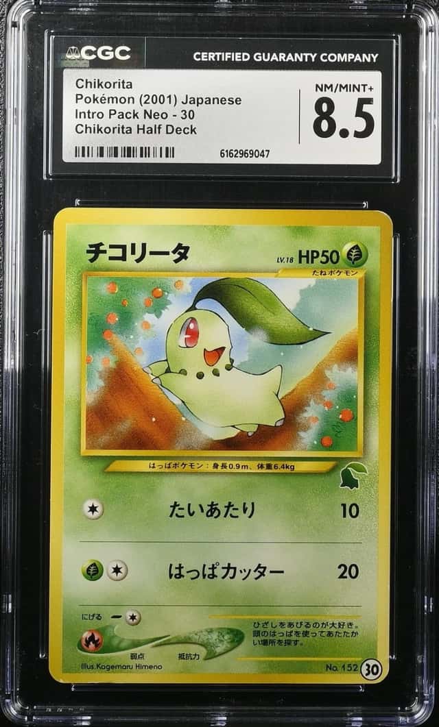 Chikorita