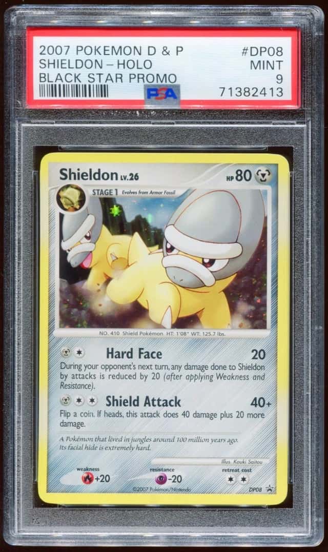 Shieldon