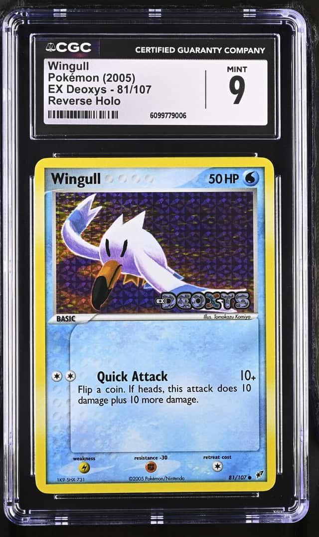 Wingull