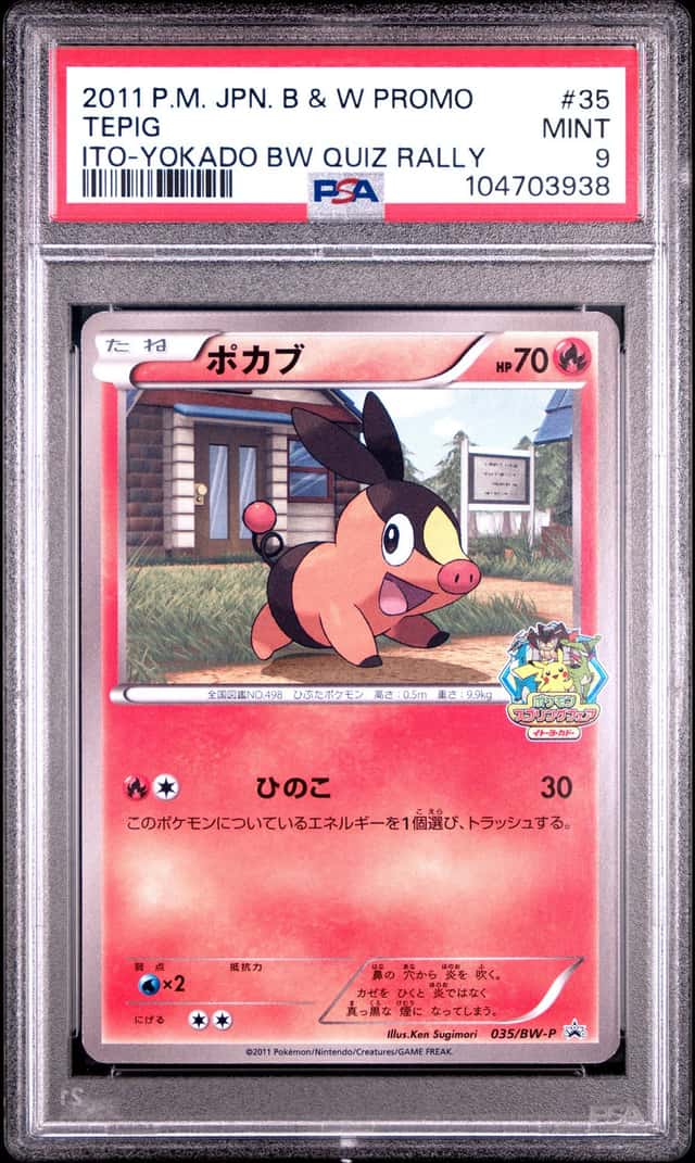 Tepig