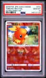 Torchic