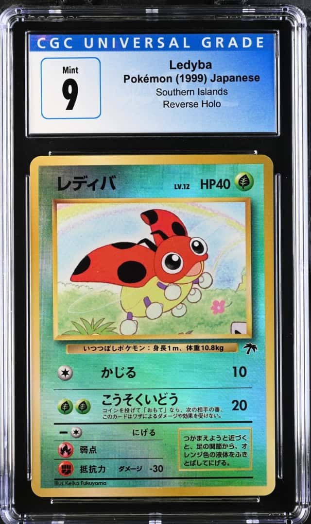 Ledyba