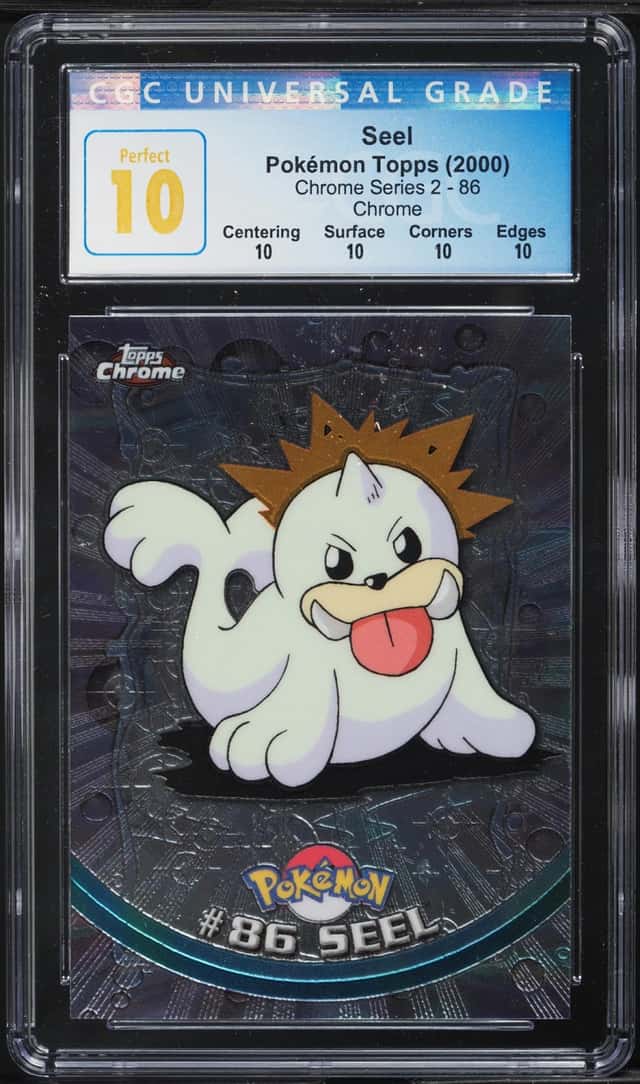Seel