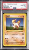 Ponyta