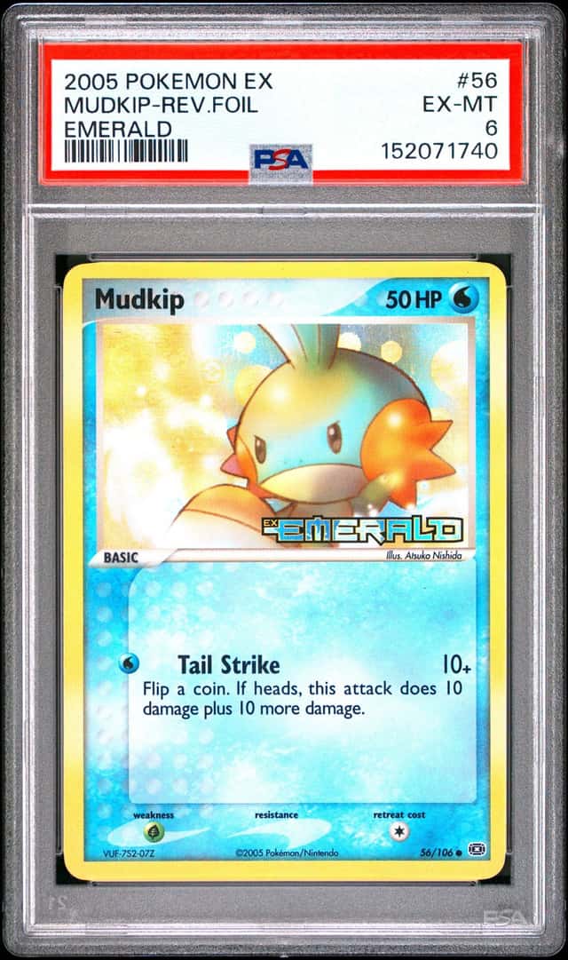 Mudkip