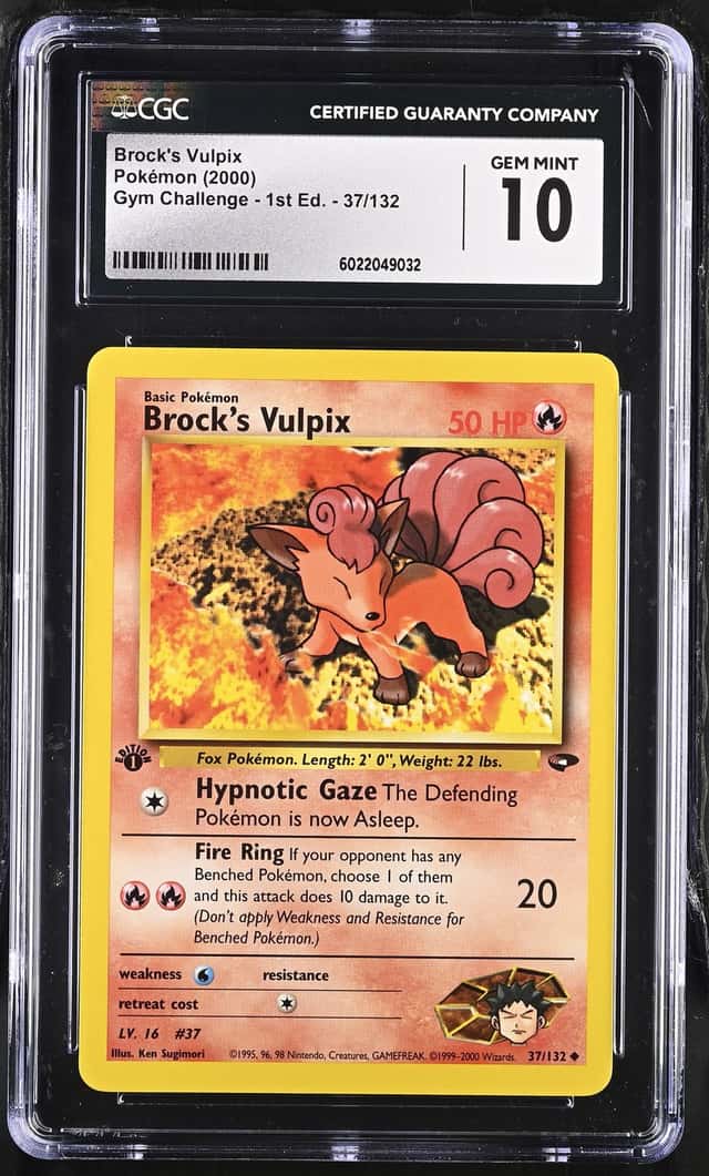 Brock's Vulpix