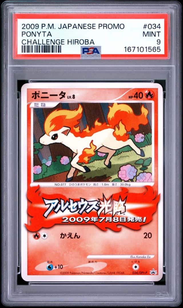 Ponyta