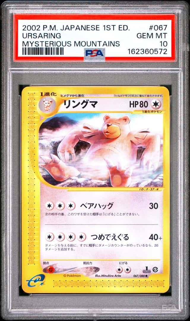 Ursaring
