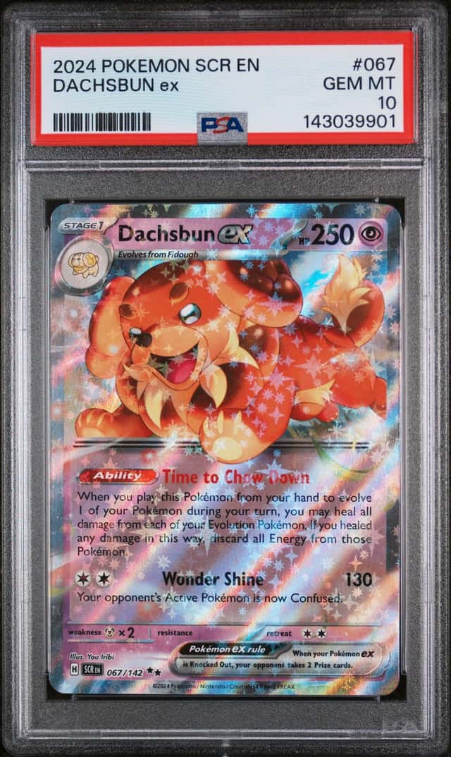 DACHSBUN ex