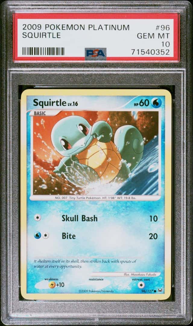 Squirtle