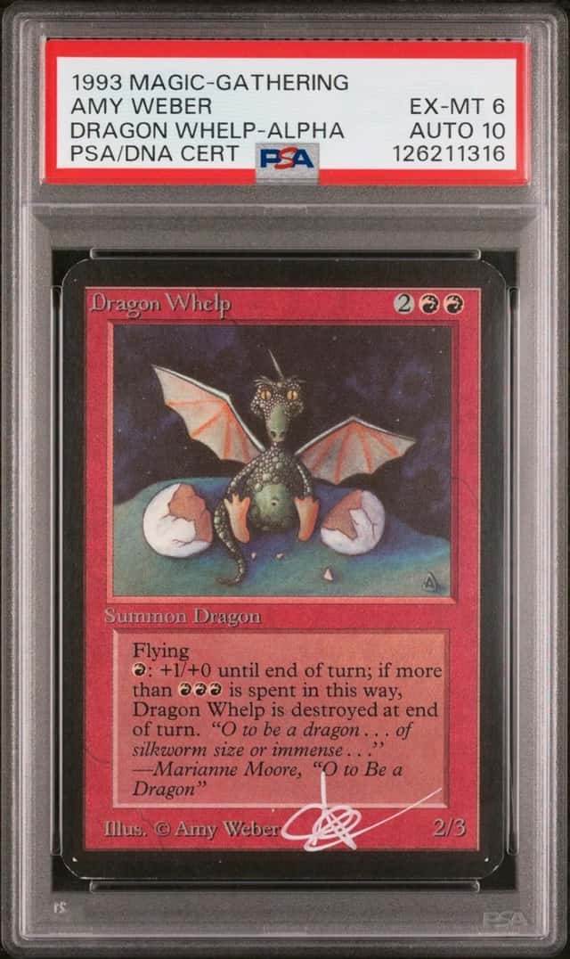 Dragon Whelp