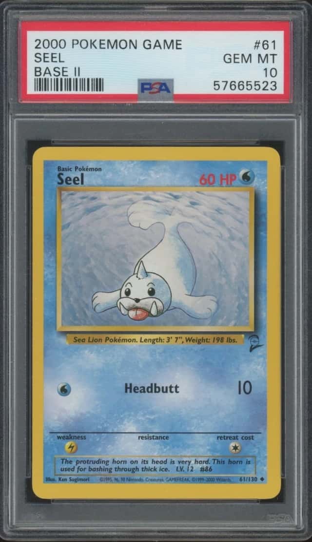 Seel
