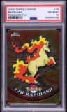 Rapidash