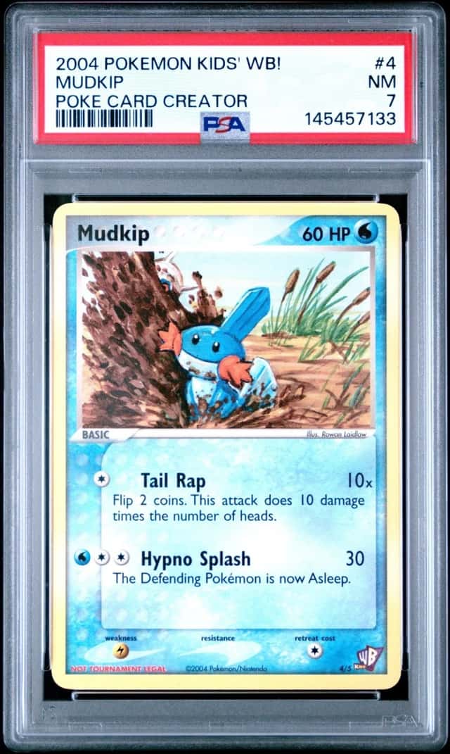 Mudkip