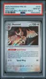 Noctowl