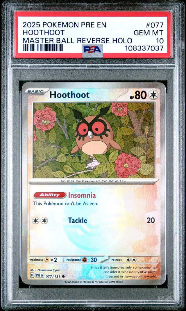 Hoothoot