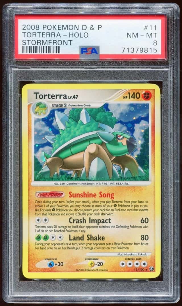 Torterra