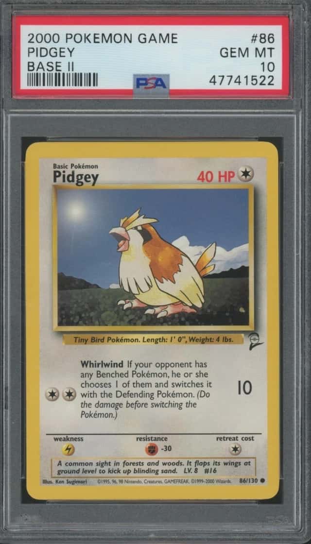 Pidgey
