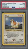 Pidgey